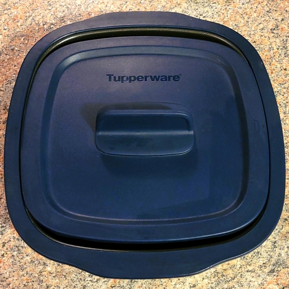 Tupperware MicroPro Grill